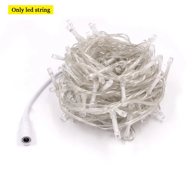 Dimmable Outdoor LED String Lights