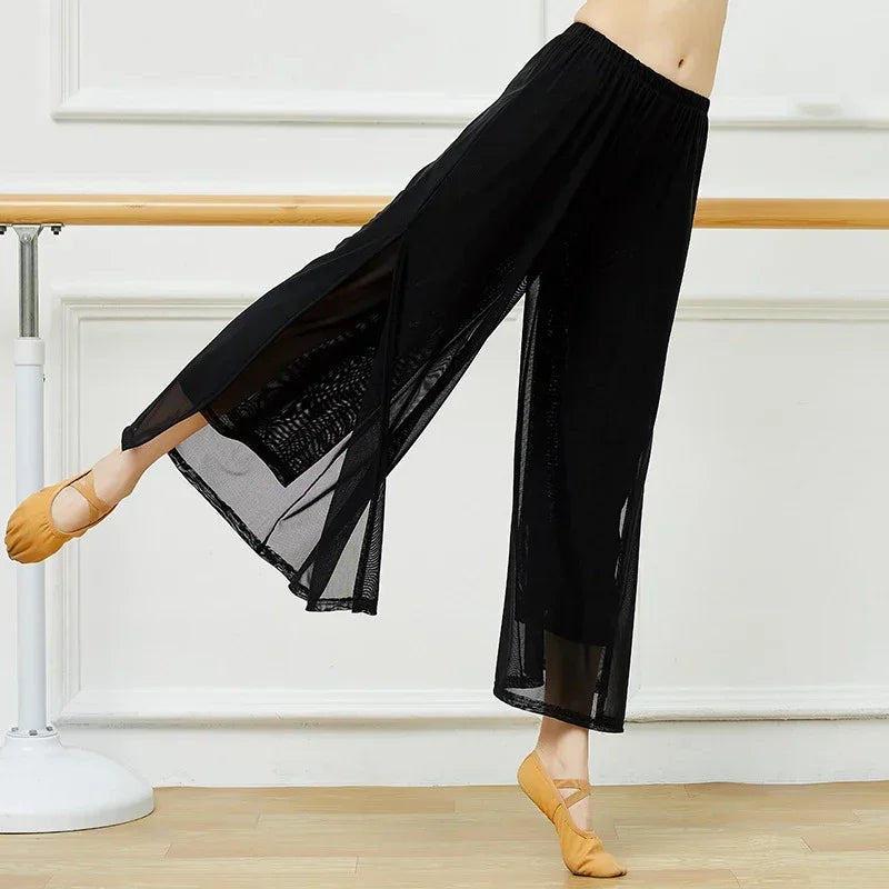 Mesh Wide-Leg Dance Pants