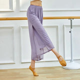 Mesh Wide-Leg Dance Pants