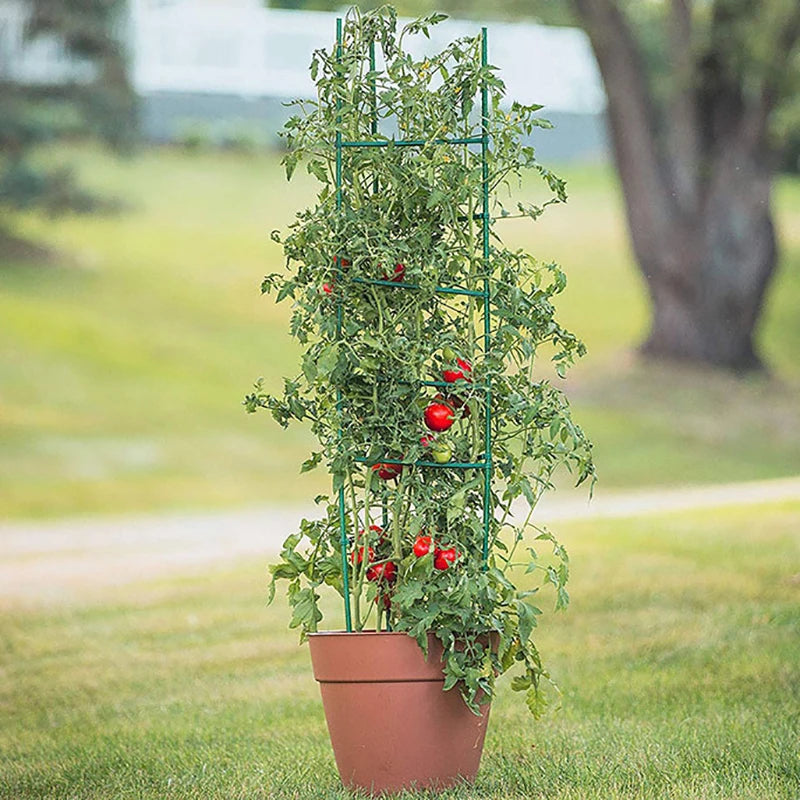 ♥DIY Tomato Plant Support Kit – Stackable Stakes & Rings for Climbing Vegetables & Flowers|〔YY33〕