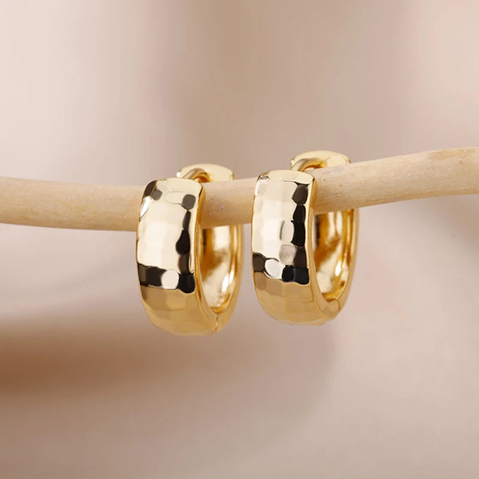 Small Stainless Steel Hoop Earrings