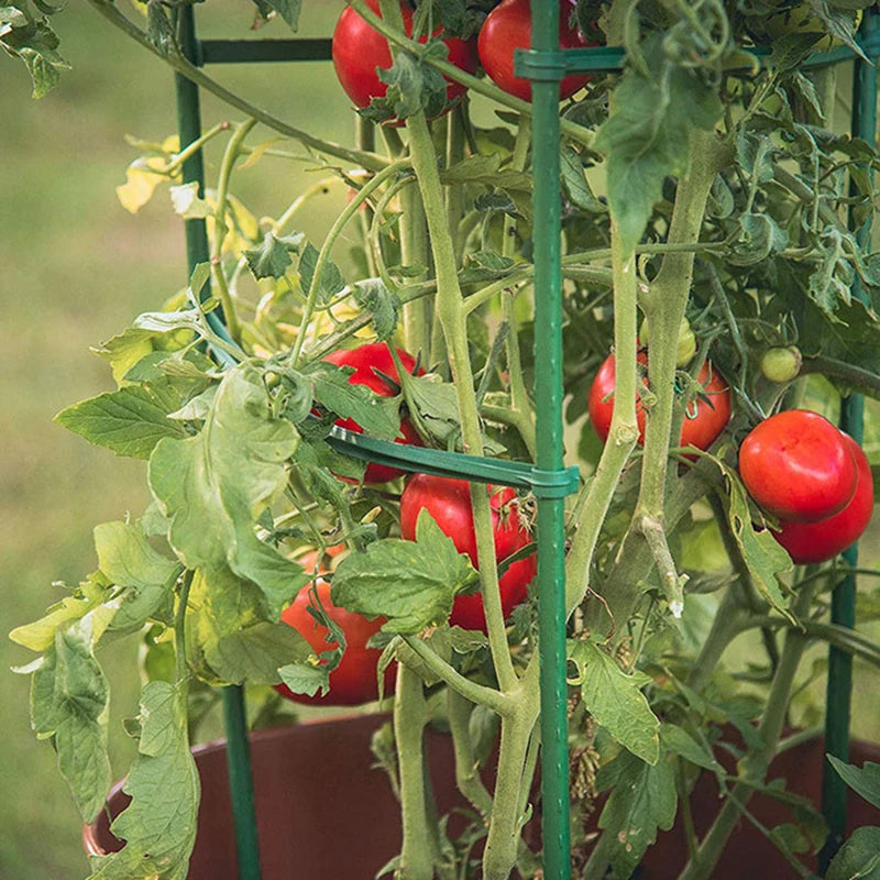 ♥DIY Tomato Plant Support Kit – Stackable Stakes & Rings for Climbing Vegetables & Flowers|〔YY33〕