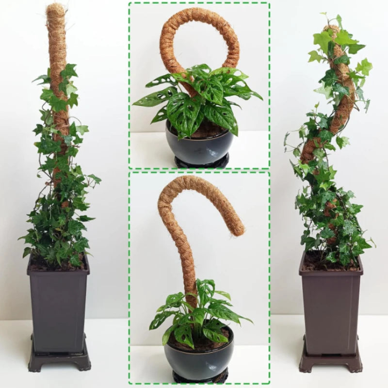 Bendable Moss Pole, Plants Climbing Support Extension Pole, Monstera Palm Vines Soporte Stakes, Garden Potted Plant Accessories