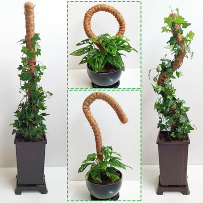 Bendable Moss Pole, Plants Climbing Support Extension Pole, Monstera Palm Vines Soporte Stakes, Garden Potted Plant Accessories