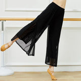 Mesh Wide-Leg Dance Pants