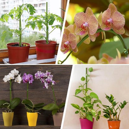 20/40/60Pcs Plant Support Sticks Reusable Flower Holder Clips Orchid Rod Plant Sticks For Supporting Climbing Plant Garden Tool