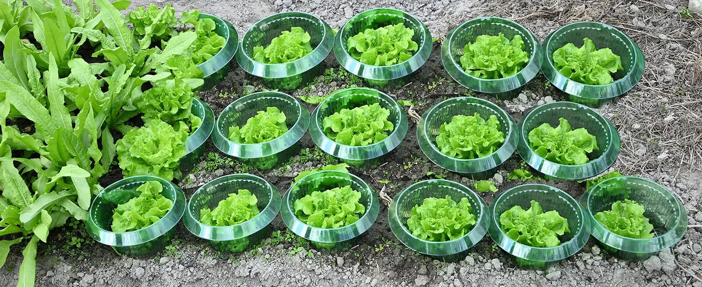 1/30pcs Plants Slug Protection Rings Green Planter Flower Pot Snail Vegetables Cover Reusable Pest Control Trapper Garden Tool