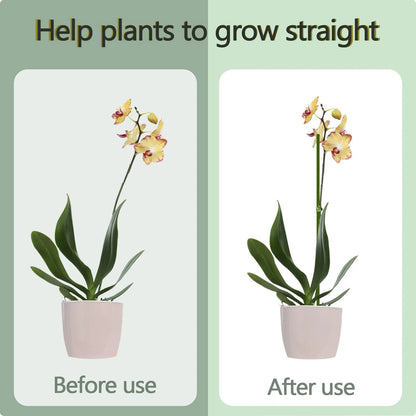 20/40/60Pcs Plant Support Sticks Reusable Flower Holder Clips Orchid Rod Plant Sticks For Supporting Climbing Plant Garden Tool