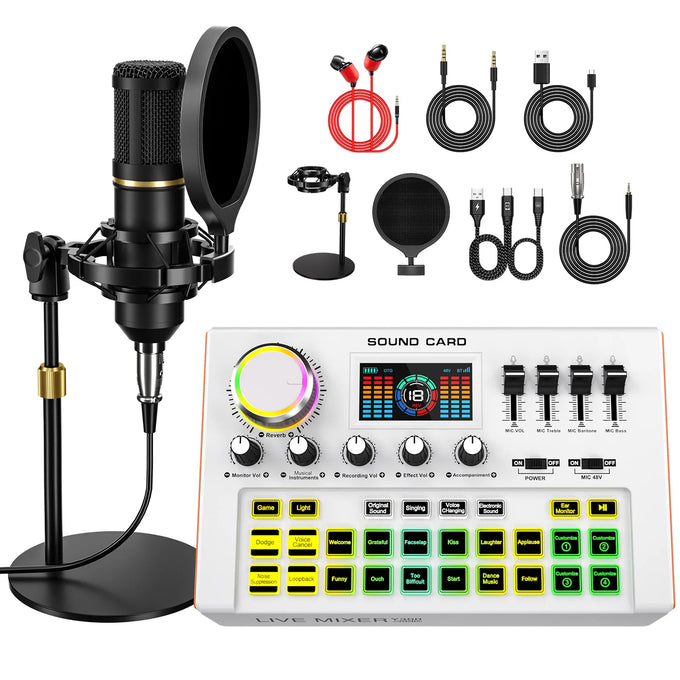 Tenlamp Y300-BM800 Microphone & Mixer Kit — product image