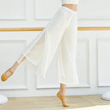 Mesh Wide-Leg Dance Pants