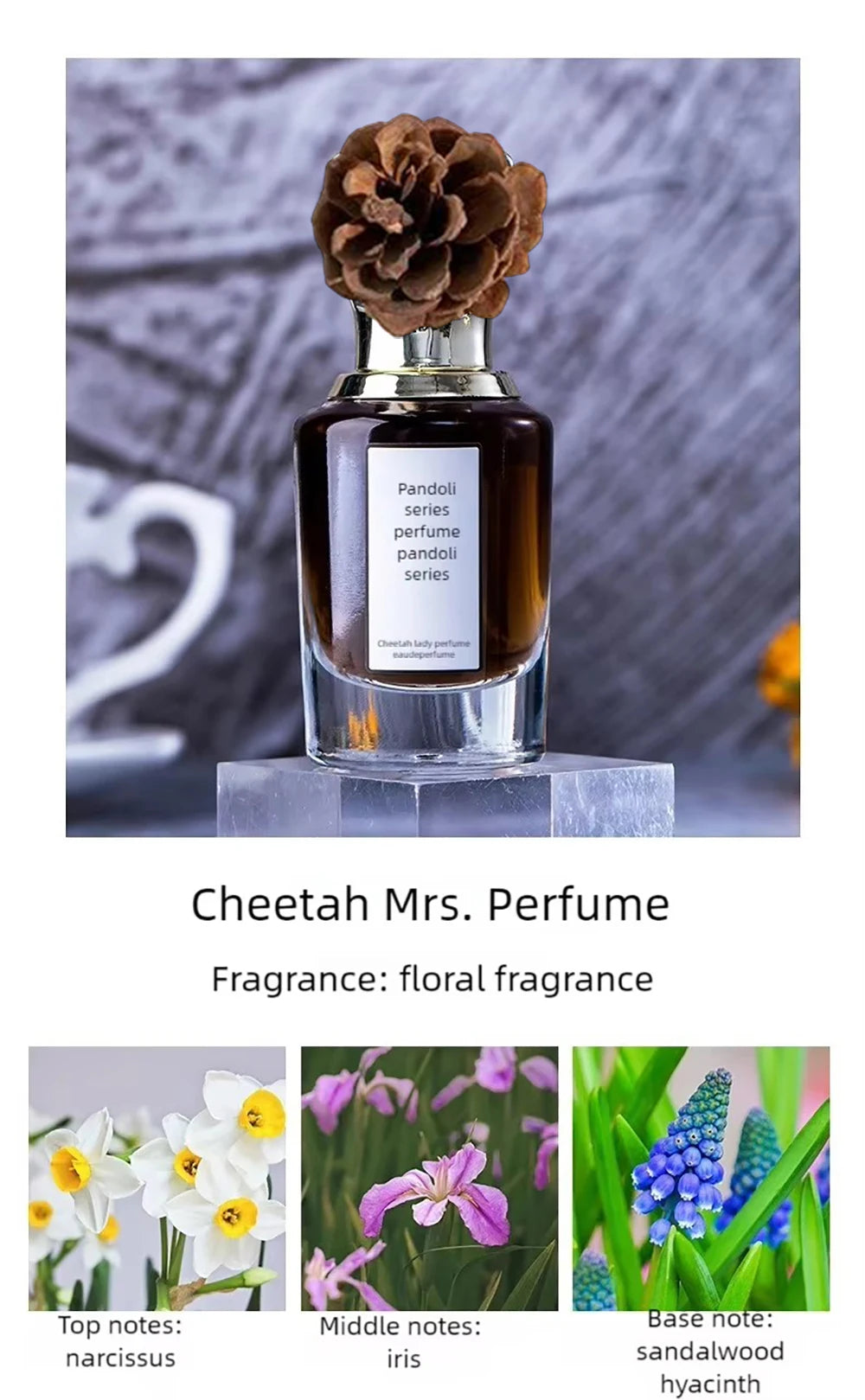 Luxury Brand Women Perfumes And Colognes Men 75ml Eau De Parfum Femme Lasting Fragrance Plant Floral Scent Spray Gift Box 3Piece