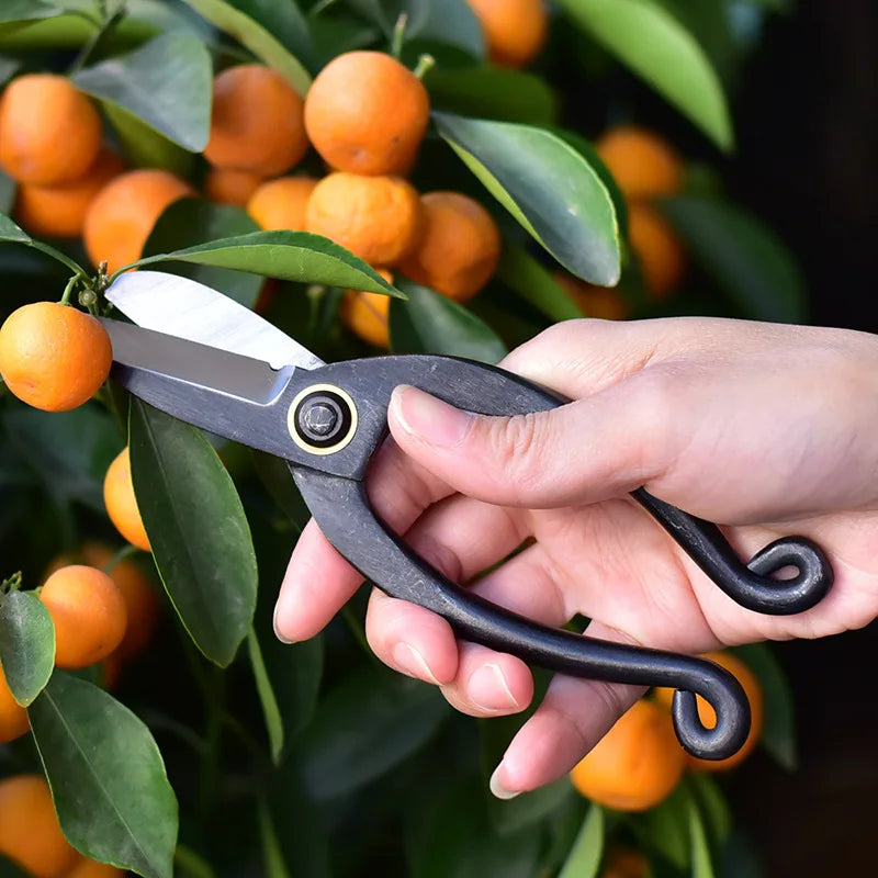 High Carbon Steel Garden Pruning Shears Profissional Root Cutter Bonsai Cutter Gardening Pruning Bonsai Scissors Grafting Tool