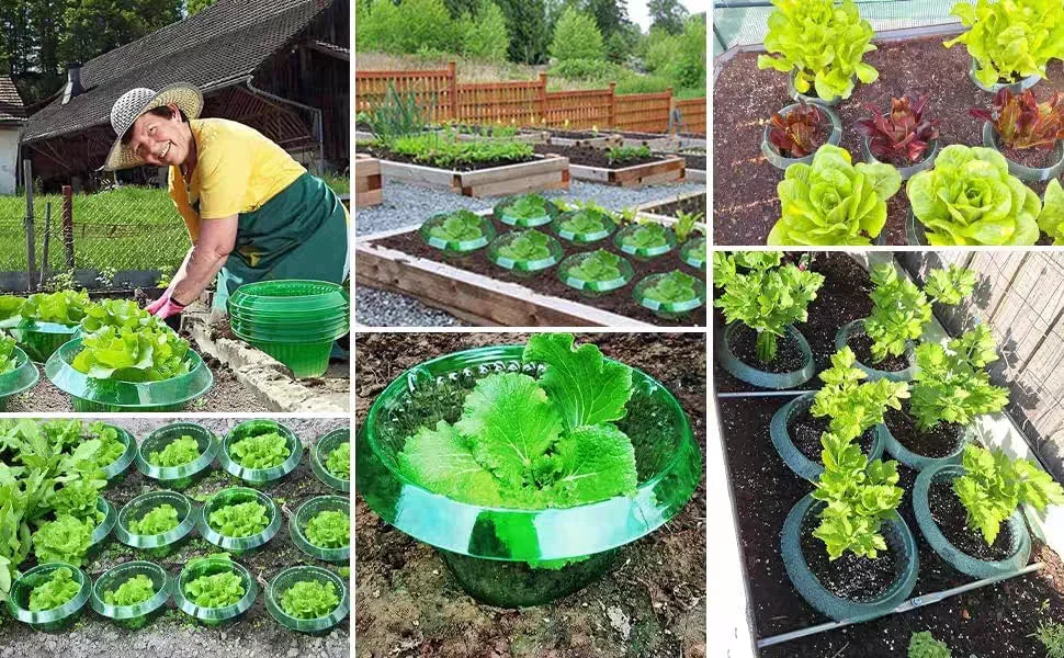 1/30pcs Plants Slug Protection Rings Green Planter Flower Pot Snail Vegetables Cover Reusable Pest Control Trapper Garden Tool