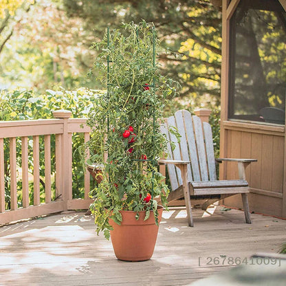 ♥DIY Tomato Plant Support Kit – Stackable Stakes & Rings for Climbing Vegetables & Flowers|〔YY33〕