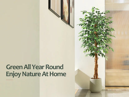 Artificial Ficus Trees with Natural Curved Trunks,  Silk Fake Ficus Tree in Plastic Nursery Pot for Office Home Decor
