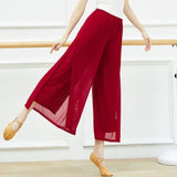 Mesh Wide-Leg Dance Pants