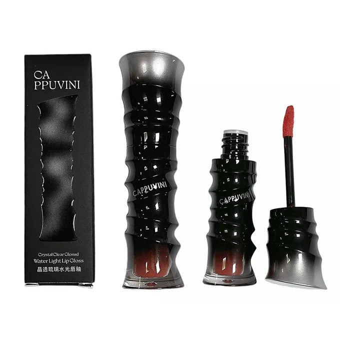 CAPPUVINI Glossy Lip Gloss Set — 2 Pieces — product image