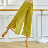 Mesh Wide-Leg Dance Pants