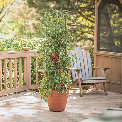♥DIY Tomato Plant Support Kit – Stackable Stakes & Rings for Climbing Vegetables & Flowers|〔YY33〕