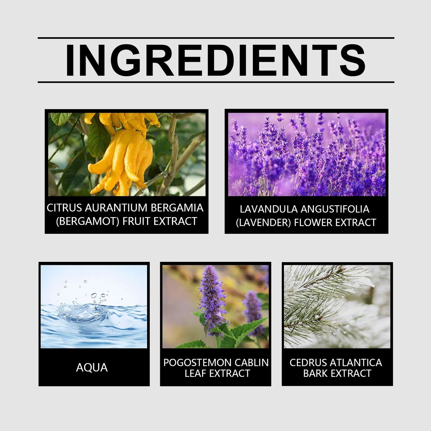 50ml Advanced Feeling Bergamot Perfume Classic Cologne Natural Fresh Hair Temperament Lasting Fragrance elegant Portable Perfume