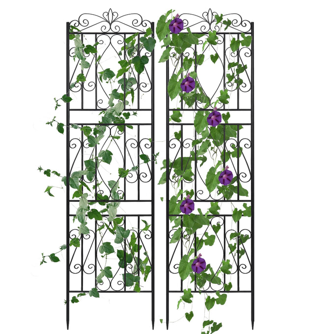 Metal Climbing Plant Trellis Set — product image