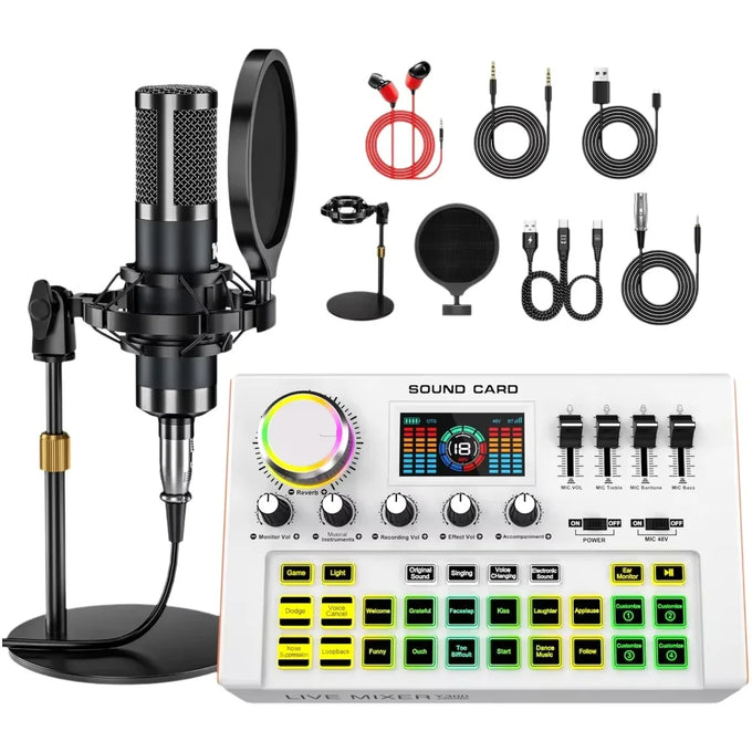 Tenlamp Y300-P15B Microphone & Mixer Kit — product image