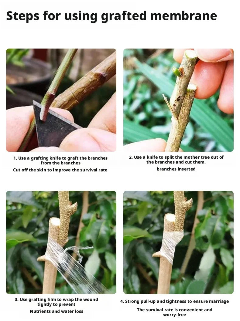 200m Length Eco-Friendly Biodegradable Grafting Tape Graft Membrane Gardening Bind Belt PE Grafting Tape Packaging wrapping film