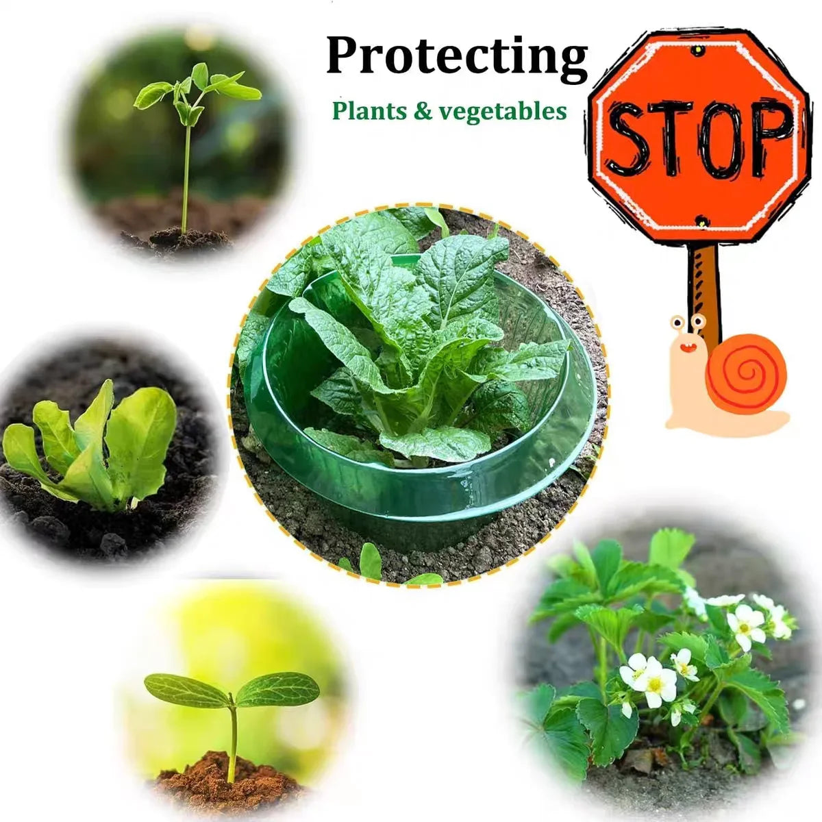 1/30pcs Plants Slug Protection Rings Green Planter Flower Pot Snail Vegetables Cover Reusable Pest Control Trapper Garden Tool