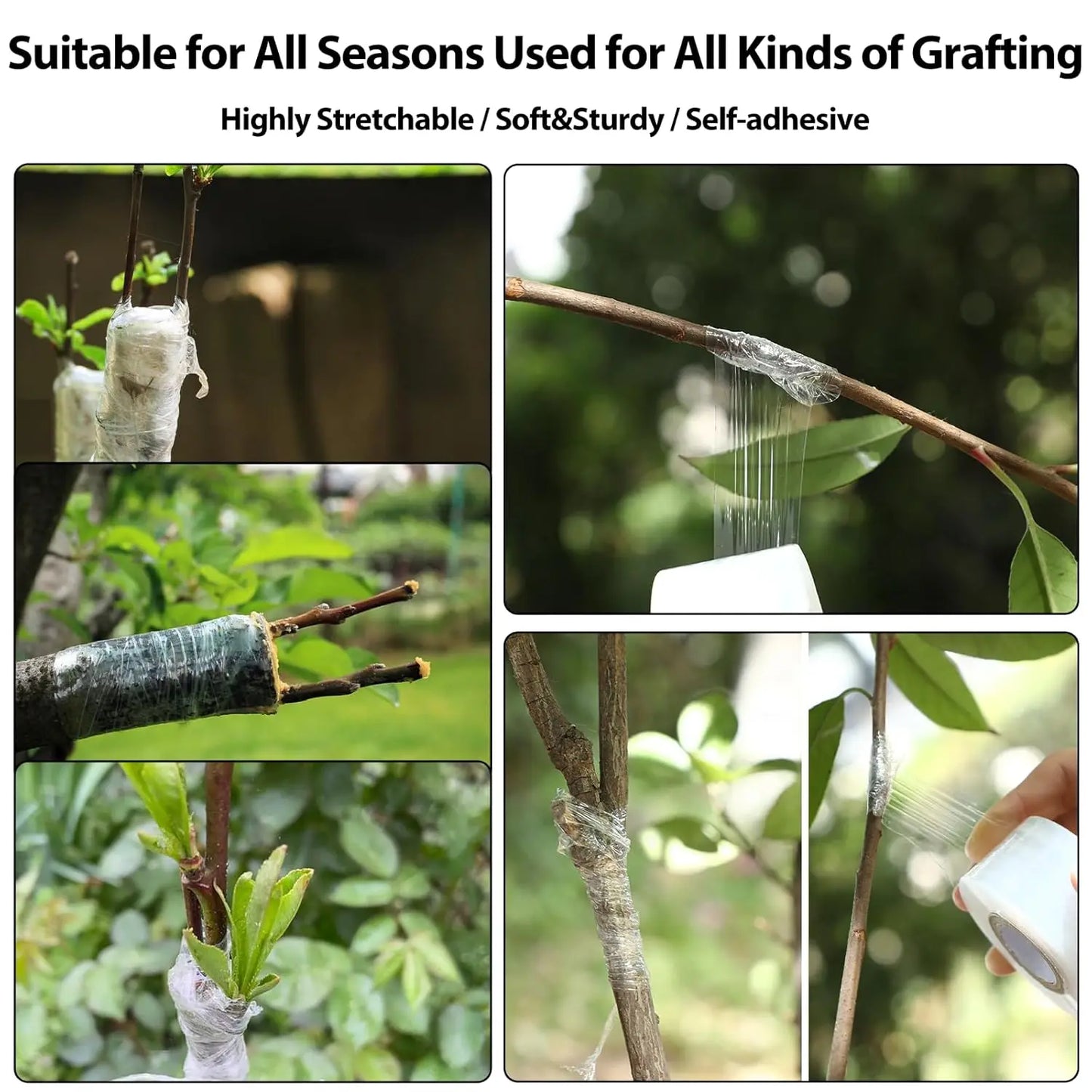 200m Length Eco-Friendly Biodegradable Grafting Tape Graft Membrane Gardening Bind Belt PE Grafting Tape Packaging wrapping film