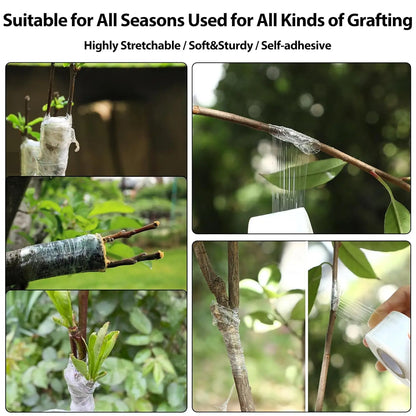 200m Length Eco-Friendly Biodegradable Grafting Tape Graft Membrane Gardening Bind Belt PE Grafting Tape Packaging wrapping film