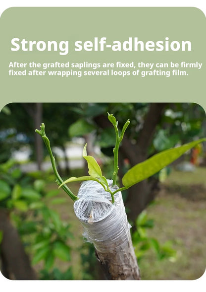 200m Length Eco-Friendly Biodegradable Grafting Tape Graft Membrane Gardening Bind Belt PE Grafting Tape Packaging wrapping film