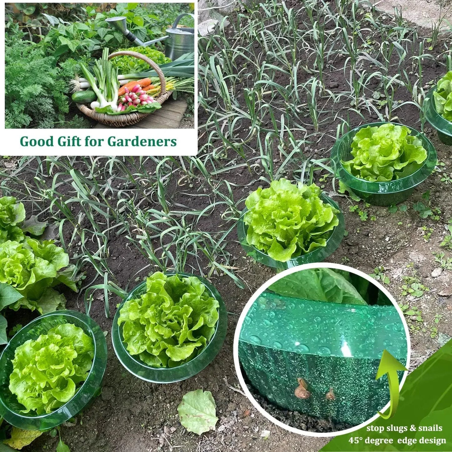 1/30pcs Plants Slug Protection Rings Green Planter Flower Pot Snail Vegetables Cover Reusable Pest Control Trapper Garden Tool