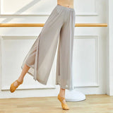 Mesh Wide-Leg Dance Pants