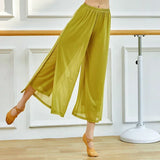 Mesh Wide-Leg Dance Pants