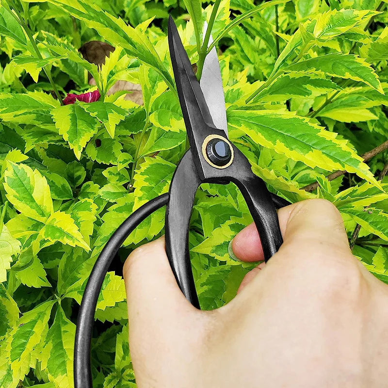 High Carbon Steel Garden Pruning Shears Profissional Root Cutter Bonsai Cutter Gardening Pruning Bonsai Scissors Grafting Tool