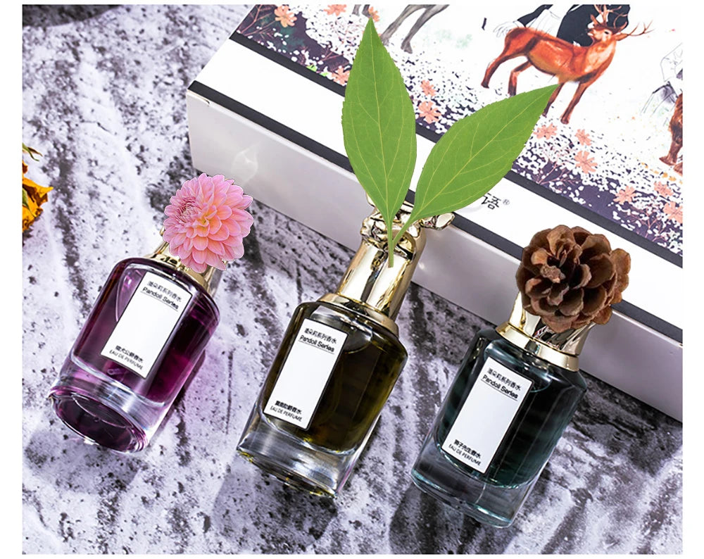 Luxury Brand Women Perfumes And Colognes Men 75ml Eau De Parfum Femme Lasting Fragrance Plant Floral Scent Spray Gift Box 3Piece