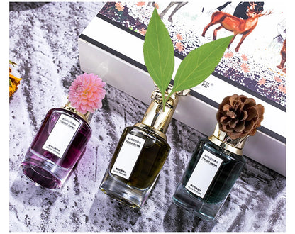 Luxury Brand Women Perfumes And Colognes Men 75ml Eau De Parfum Femme Lasting Fragrance Plant Floral Scent Spray Gift Box 3Piece