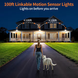 Intelamp Dual-Sensor Solar Floodlight — view 5