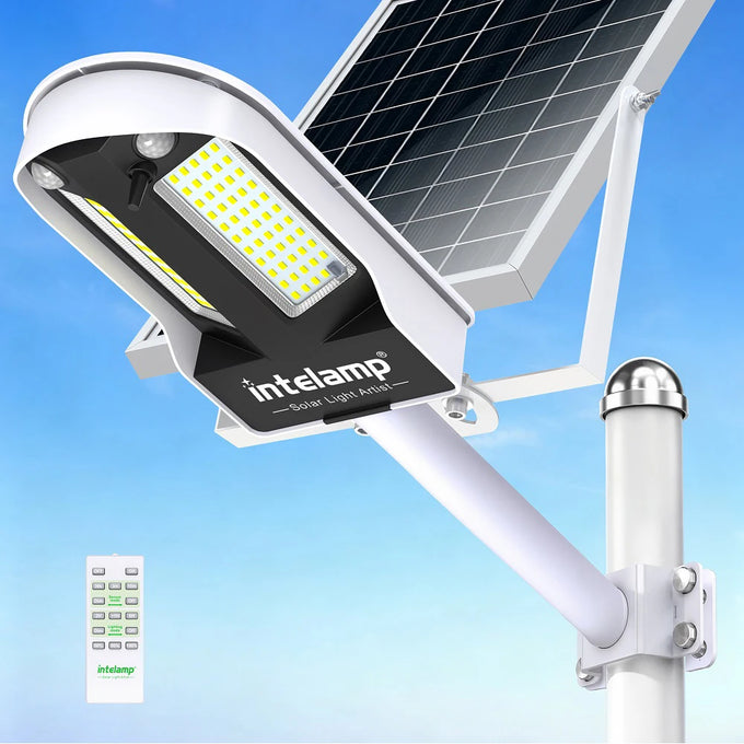 Intelamp Large-Panel Solar Street Light — product image