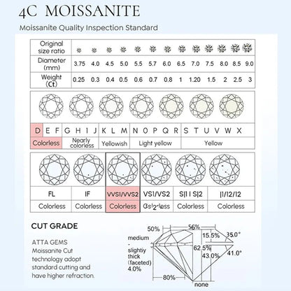 HOT Moissanite S925 Sterling Silver Stud Earrings For Women And Men With 2 Certificates Pass Diamond Test Pen Fine Jewelry