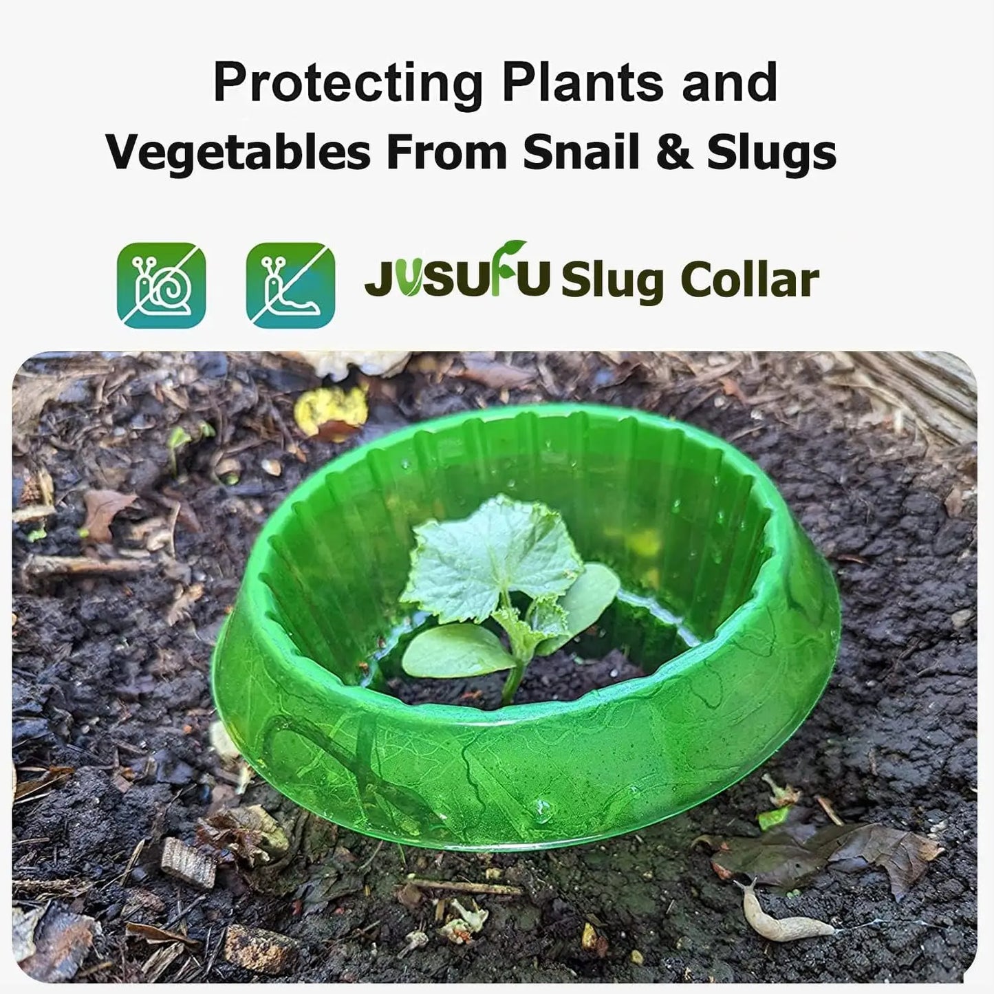 1/30pcs Plants Slug Protection Rings Green Planter Flower Pot Snail Vegetables Cover Reusable Pest Control Trapper Garden Tool