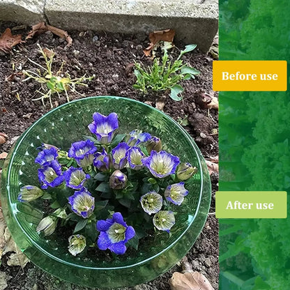 1/30pcs Plants Slug Protection Rings Green Planter Flower Pot Snail Vegetables Cover Reusable Pest Control Trapper Garden Tool