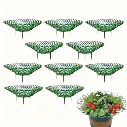 5/10pcs Green Strawberry Planting Rack with 3 Sturdy Stands Versatile Plant for Berries and Small Plants Plant Stand