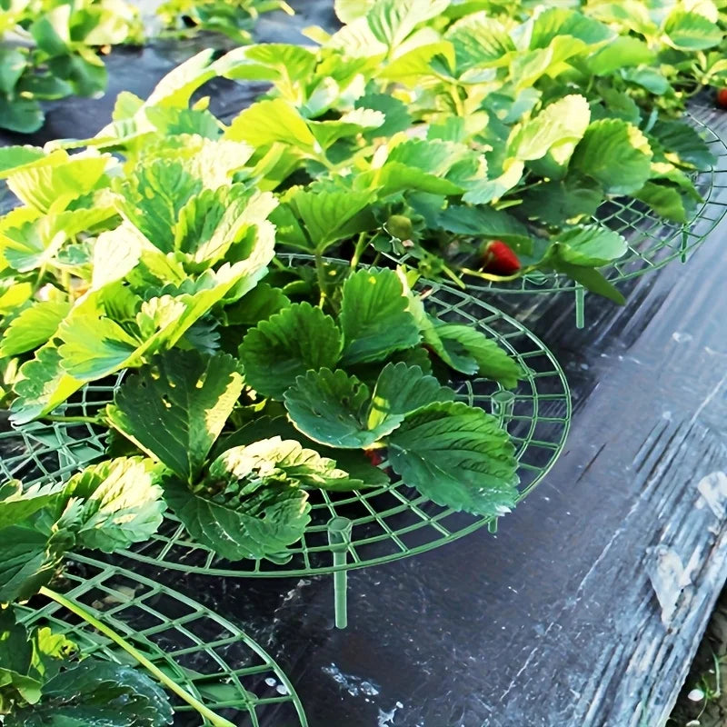 5/10pcs Green Strawberry Planting Rack with 3 Sturdy Stands Versatile Plant for Berries and Small Plants Plant Stand
