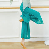 Mesh Wide-Leg Dance Pants