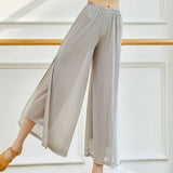 Mesh Wide-Leg Dance Pants