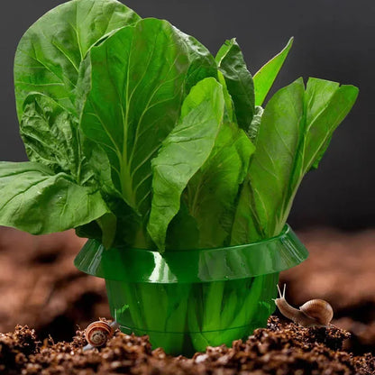 1/30pcs Plants Slug Protection Rings Green Planter Flower Pot Snail Vegetables Cover Reusable Pest Control Trapper Garden Tool