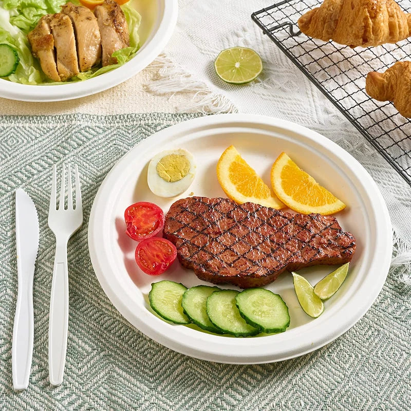 9-Inch Disposable Plates (50-Pack) - Food-Grade Sturdy Leak-Resistant for Picnics Outdoor Parties Indoor Home Gatherings