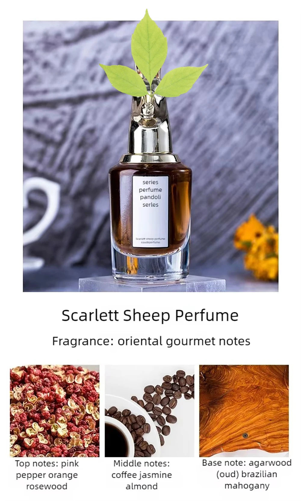 Luxury Brand Women Perfumes And Colognes Men 75ml Eau De Parfum Femme Lasting Fragrance Plant Floral Scent Spray Gift Box 3Piece