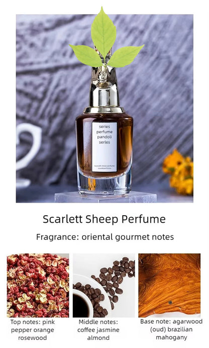 Luxury Brand Women Perfumes And Colognes Men 75ml Eau De Parfum Femme Lasting Fragrance Plant Floral Scent Spray Gift Box 3Piece